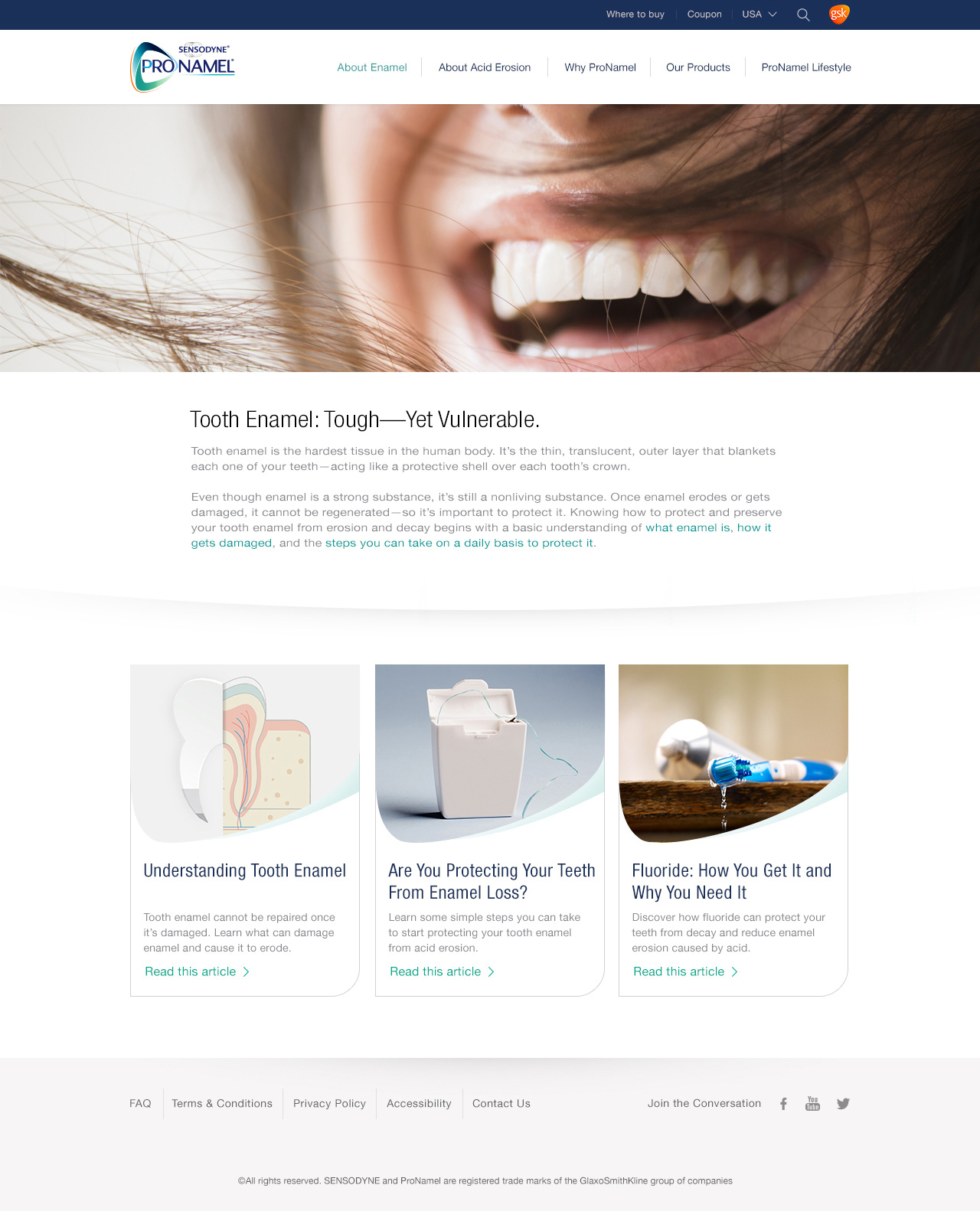 About-enamel-landing-page