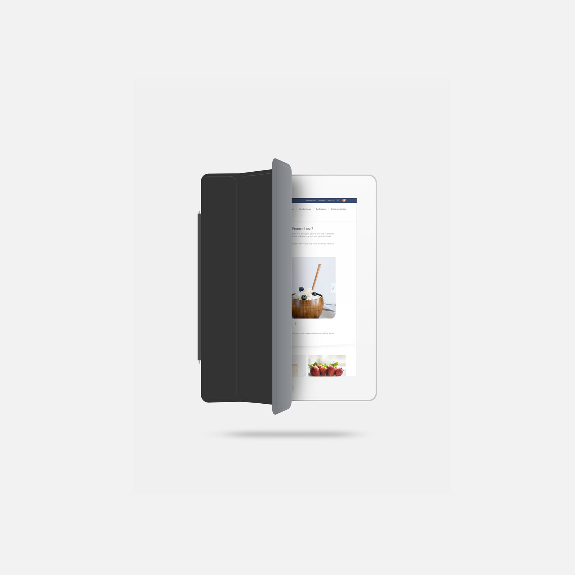 Pronamel Website